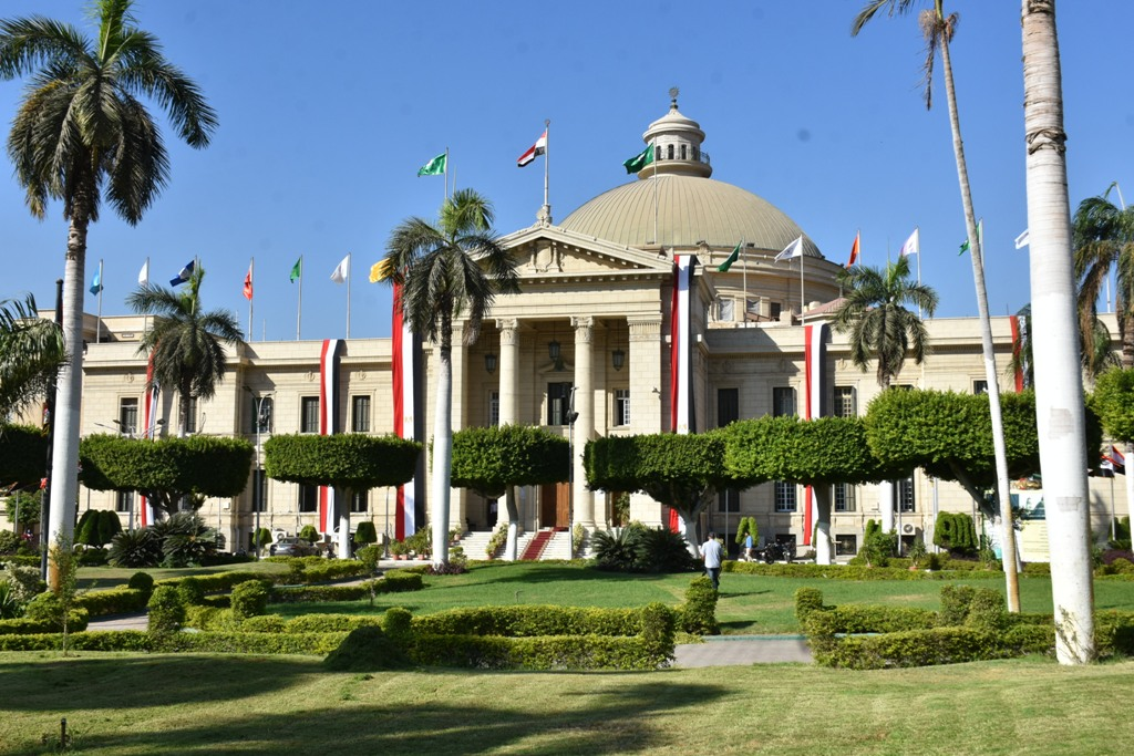 BSc in Physiotherapy — Cairo University thumbnail