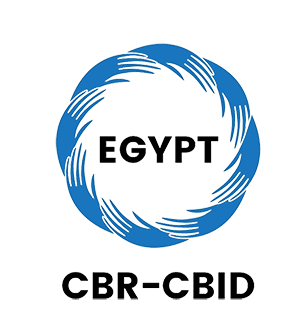 Co-Founder — Egyptian Alliance for Inclusive Development thumbnail